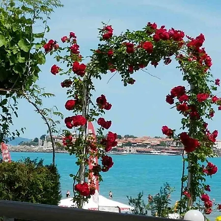 Aphrodite Hotel 4*